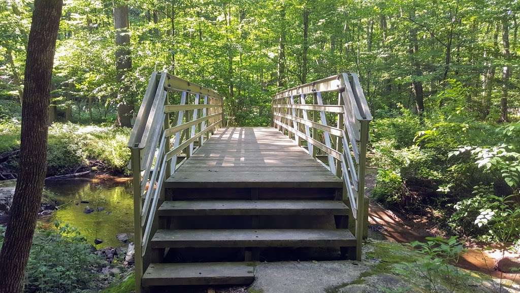 Buttermilk Falls | Mendham, NJ 07945, USA