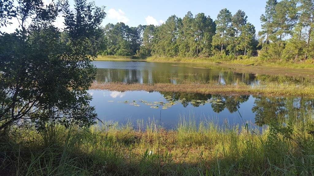 Clear Lake Mudhole | 7 Fisher Loop, Ocklawaha, FL 32179, USA