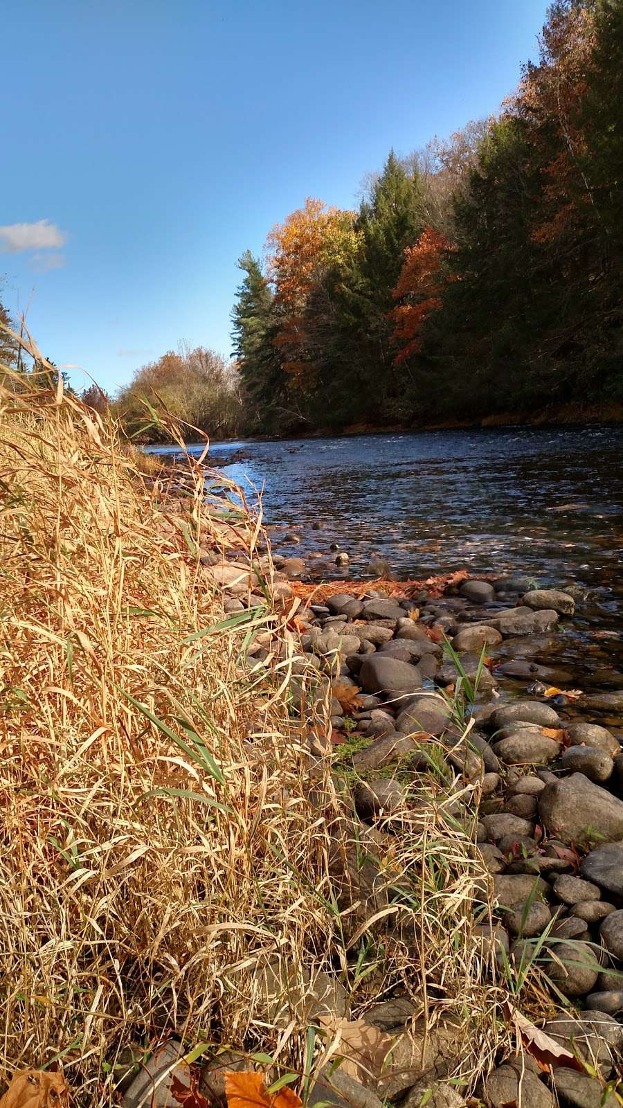 Neversink Preserve | 504 US-209, Huguenot, NY 12746, USA