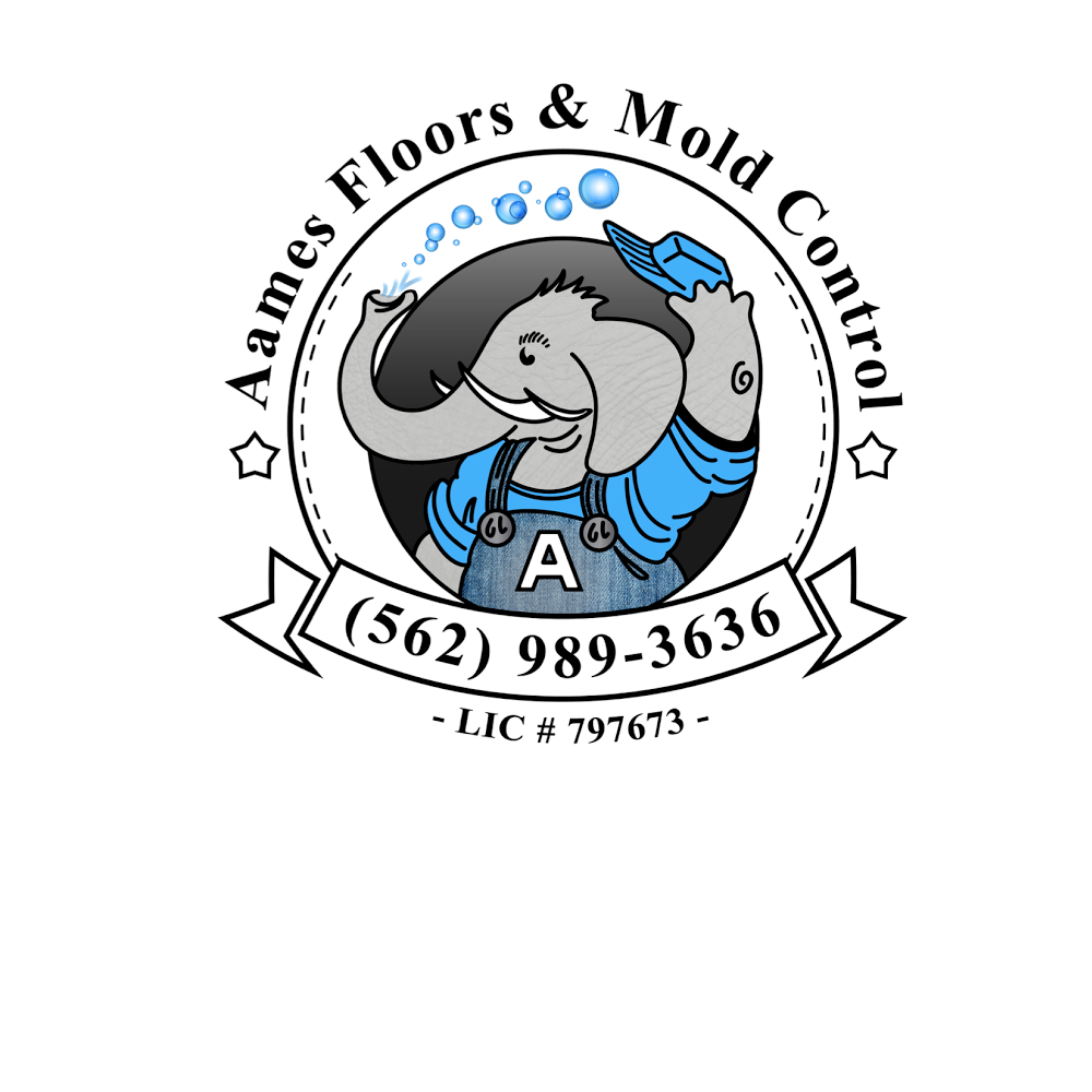 Aames Floors and Mold Control | 3226 E Willow St, Signal Hill, CA 90755, USA | Phone: (562) 989-3636