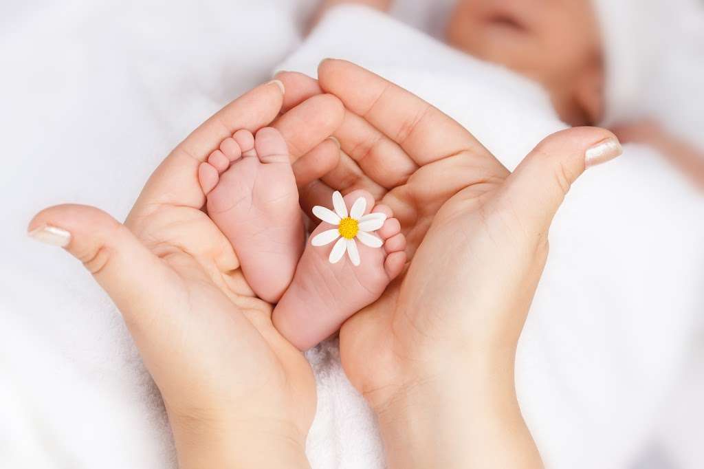 Bloom Doula & Birth Services | 48 Cooks Cross Rd, Pittstown, NJ 08867 | Phone: (908) 238-3099