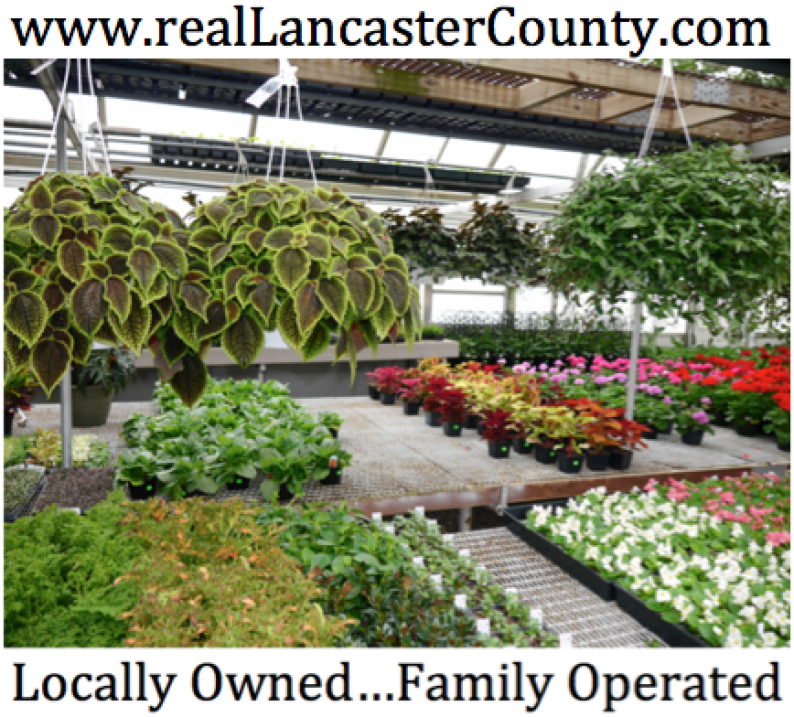 Long Lane Greenhouse | 1931 Mine Rd, Paradise, PA 17562, USA | Phone: (717) 371-2977