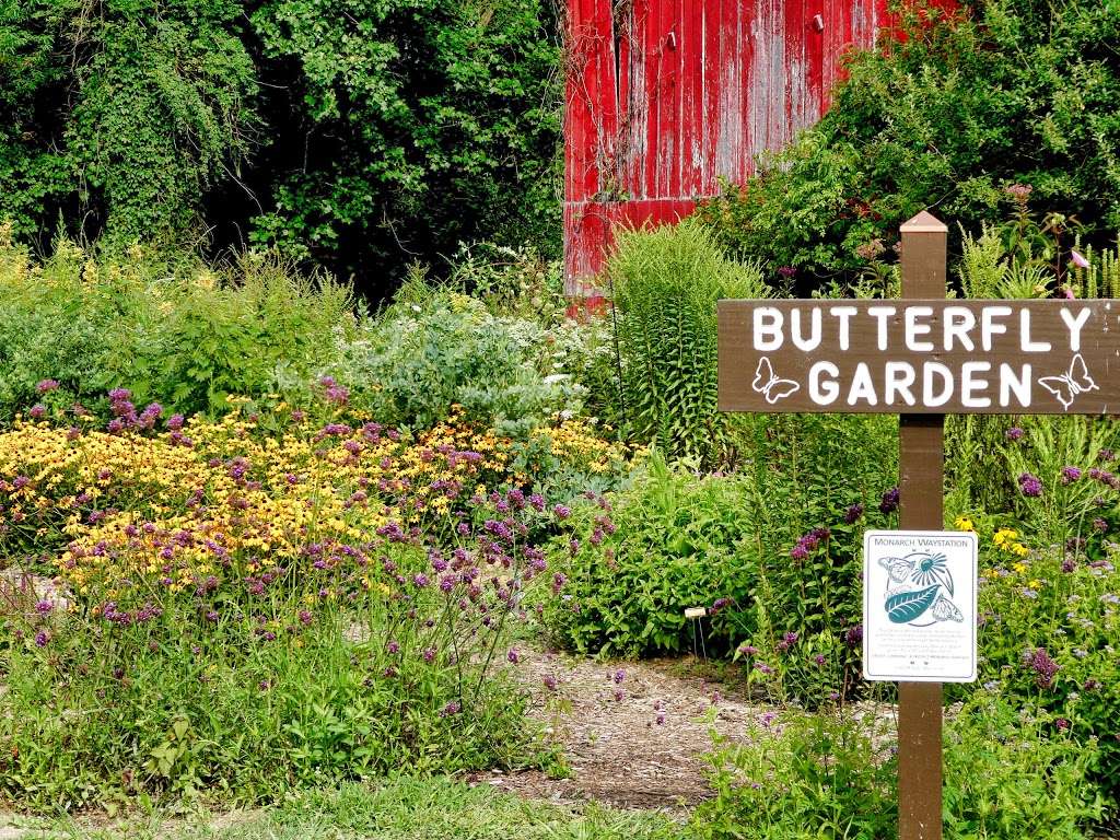 Glendening Butterfly Garden | Lothian, MD 20711