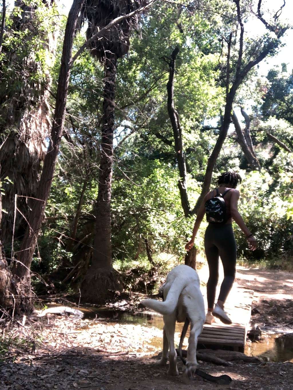 Bernardo Mountain Summit Trail - Access Road | Escondido, CA 92029, USA