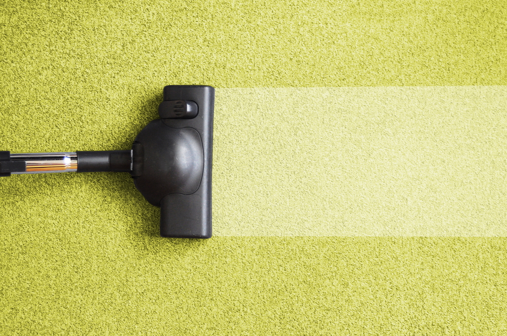 Lake Anna Carpet Cleaner | 5423 Ellisville Dr, Louisa, VA 23093, USA | Phone: (540) 894-9200