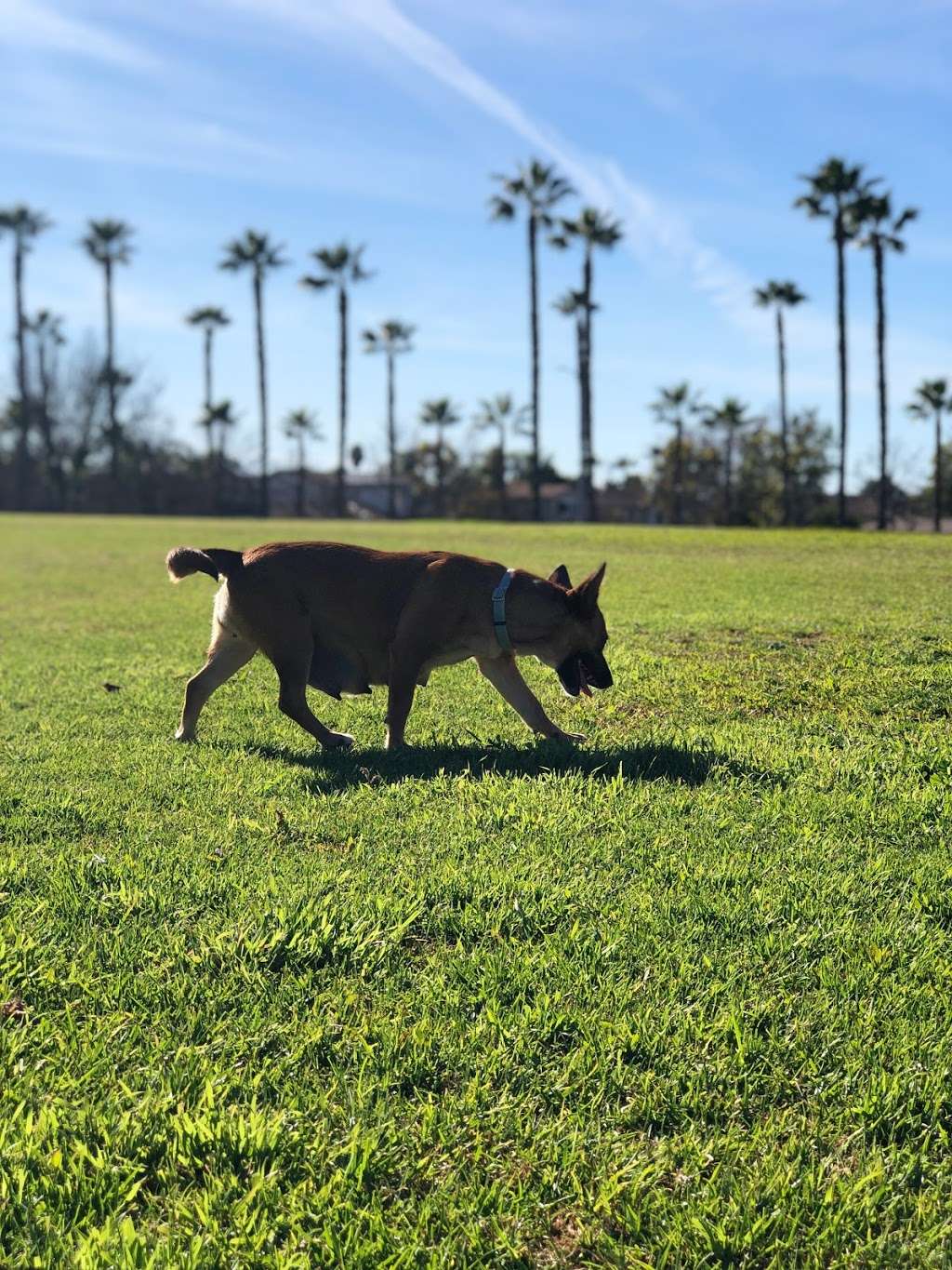 Harvest Park | 1550 E Palomar St, Chula Vista, CA 91913, USA