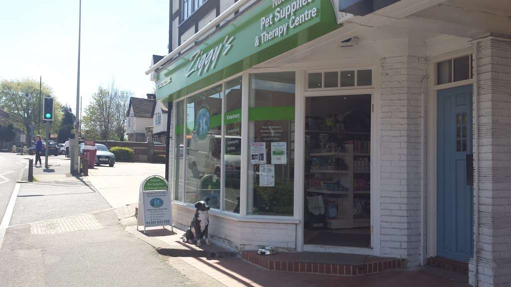 Ziggys Pet Supplies | Oak Trees, Lewes Rd, Forest Row RH18 5EP, UK | Phone: 01342 822936