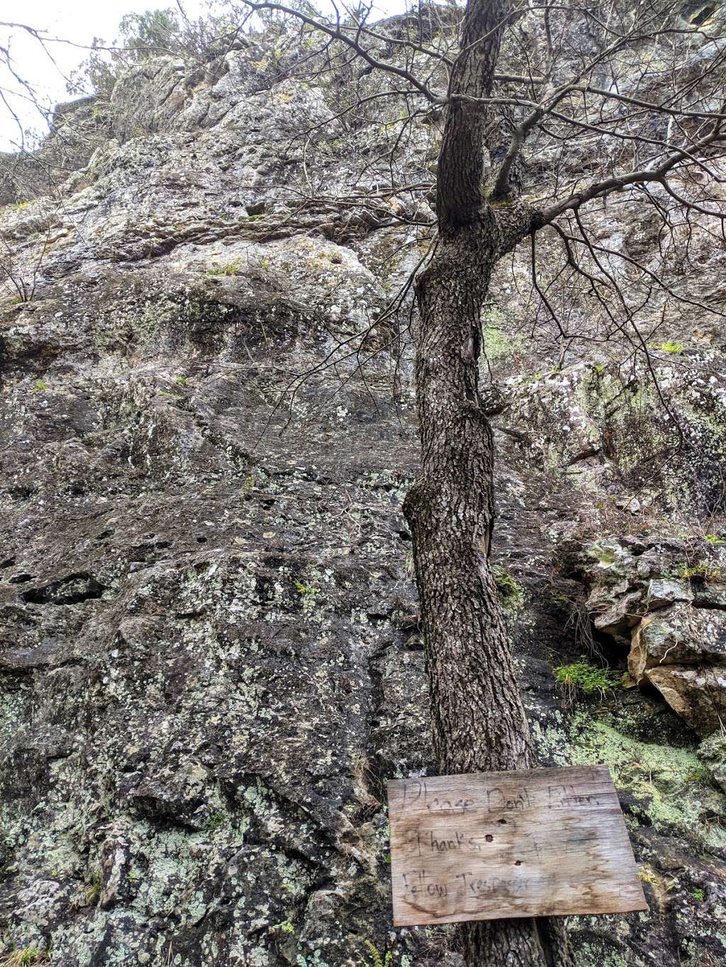 Medicine Wall | San Antonio, TX 78257