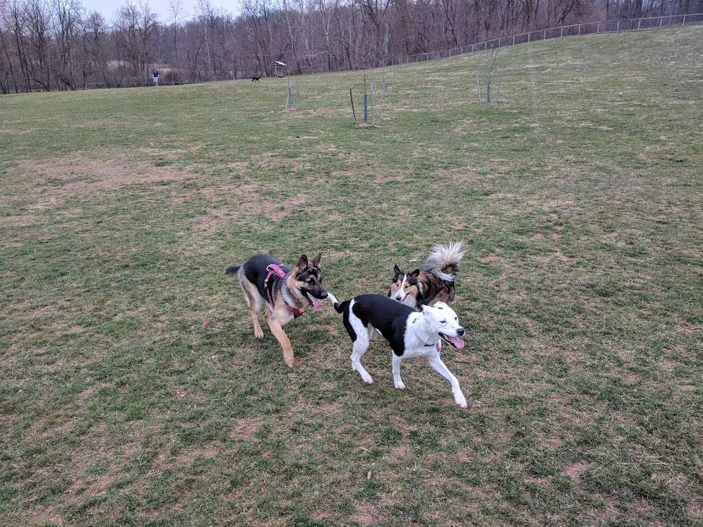 Canine Meadows | 400 Mundis Race Rd, York, PA 17406, USA | Phone: (717) 840-7440