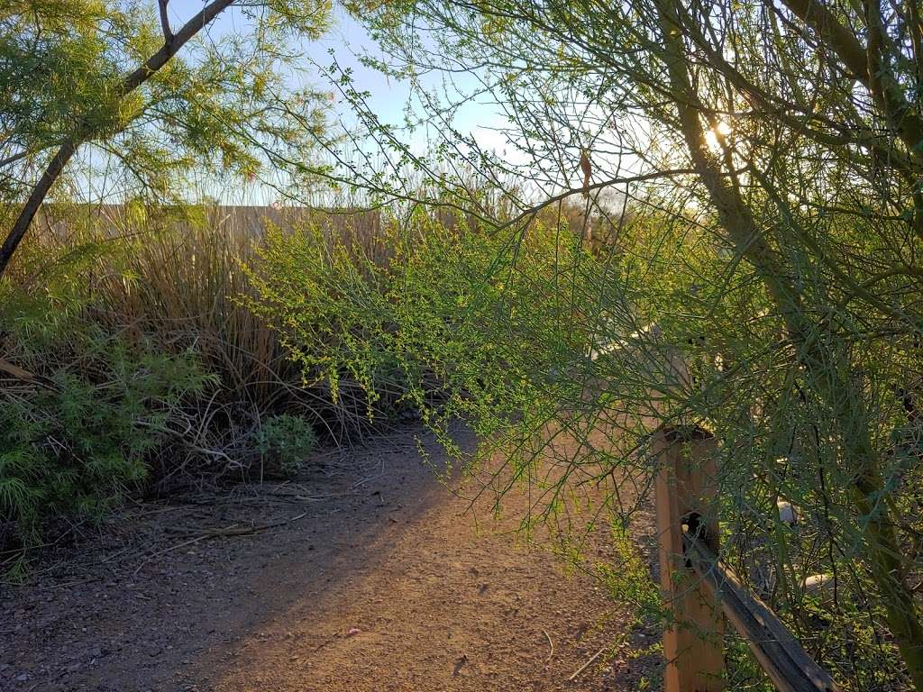 Rio Salado Park | 2875 S 7th Pl, Phoenix, AZ 85040, USA