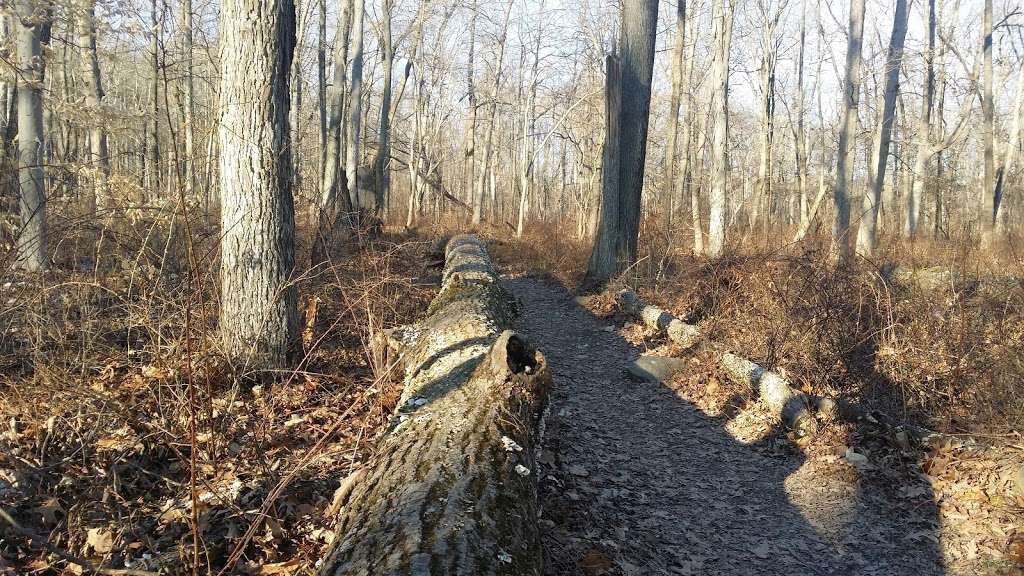 Baldpate Mountain | Titusville, NJ 08560, USA