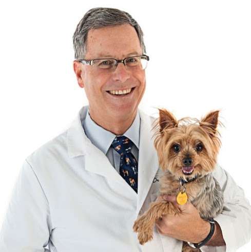 Arch Beach Veterinary Clinic | 2900 S Coast Hwy, Laguna Beach, CA 92651, USA | Phone: (949) 494-6583