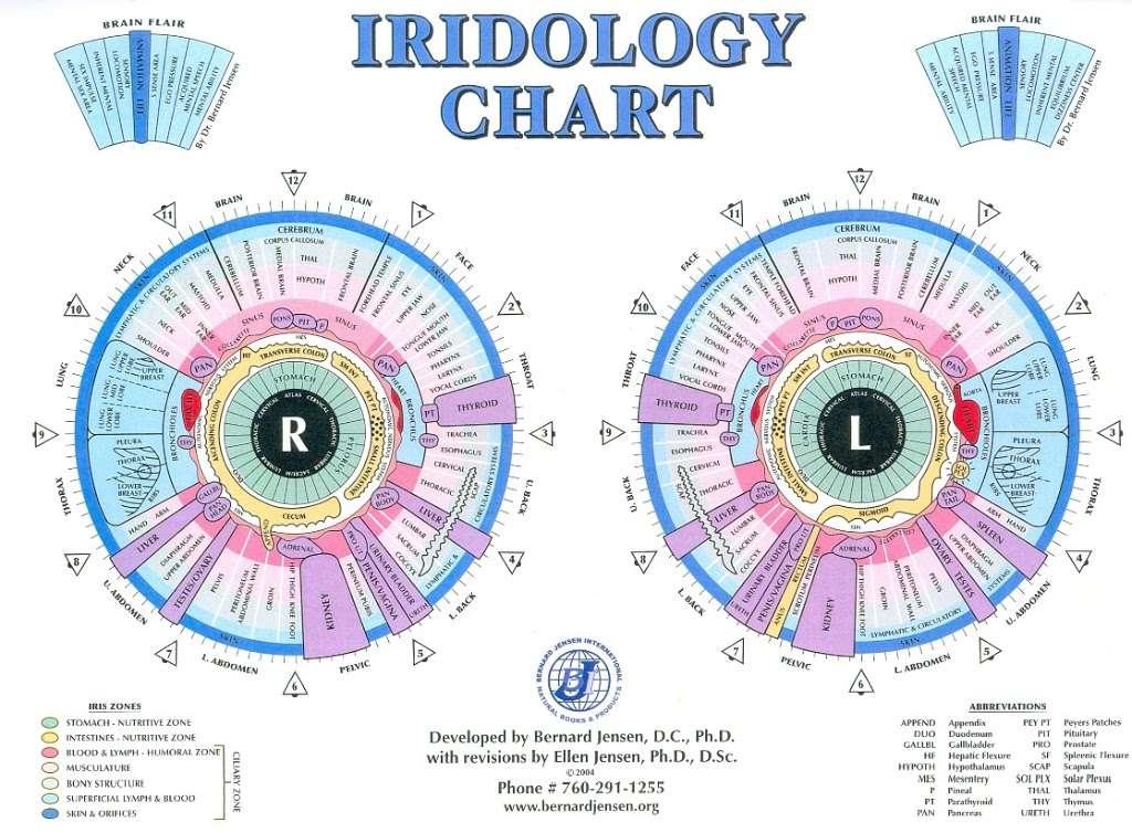 What is Iridology - InSpiral | 40 Estabrook Rd, Carlisle, MA 01741 | Phone: (617) 637-6672