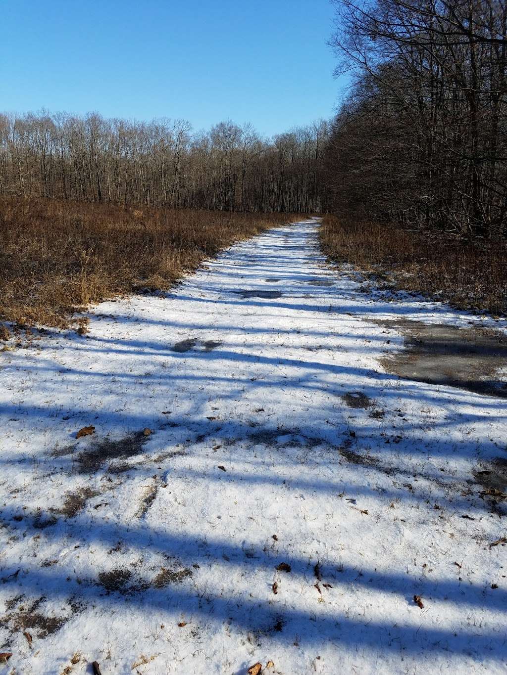 Hiking Spot- Clearing With Birdhouses | Patriots Path, Long Valley, NJ 07853