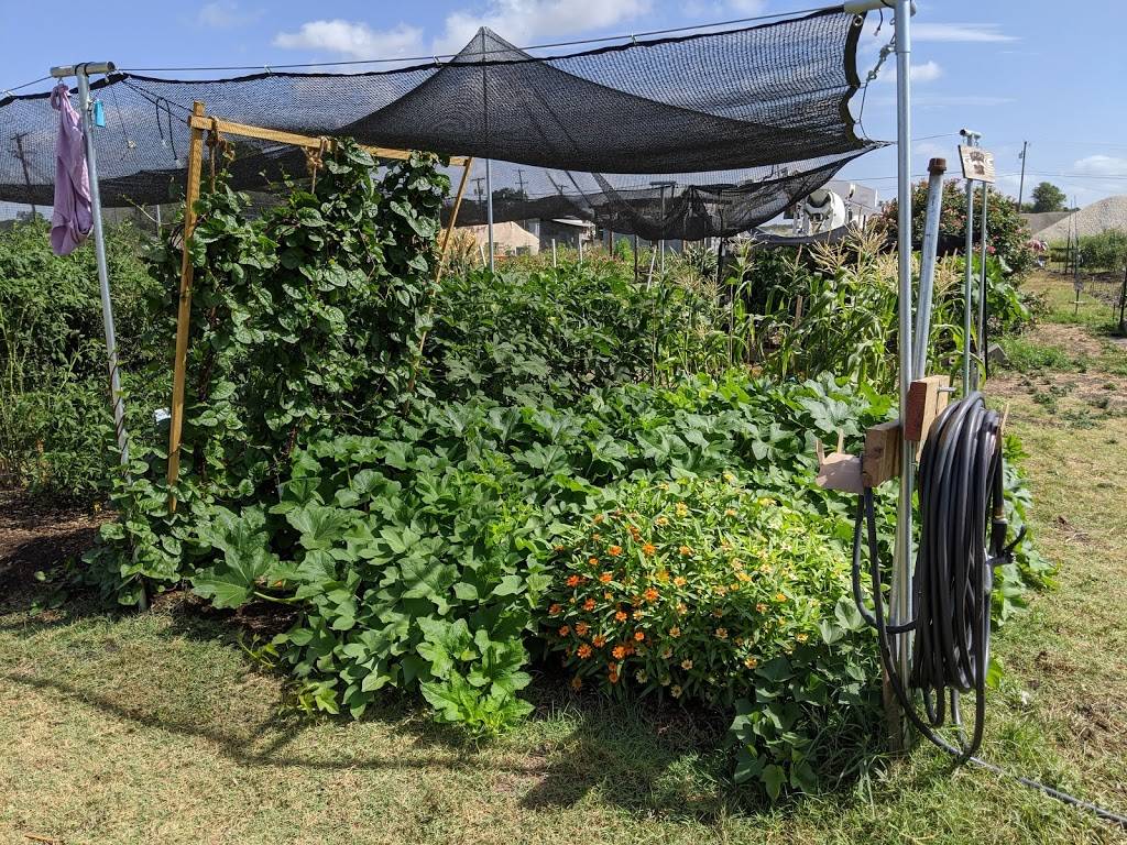 Pecan Street Community Garden | 15500 Sun Light Near Way, Pflugerville, TX 78660, USA | Phone: (512) 990-6360