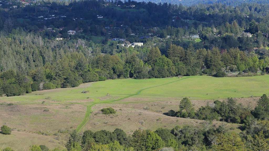 Lookout Trail Trailhead | Santa Cruz, CA 95060, USA