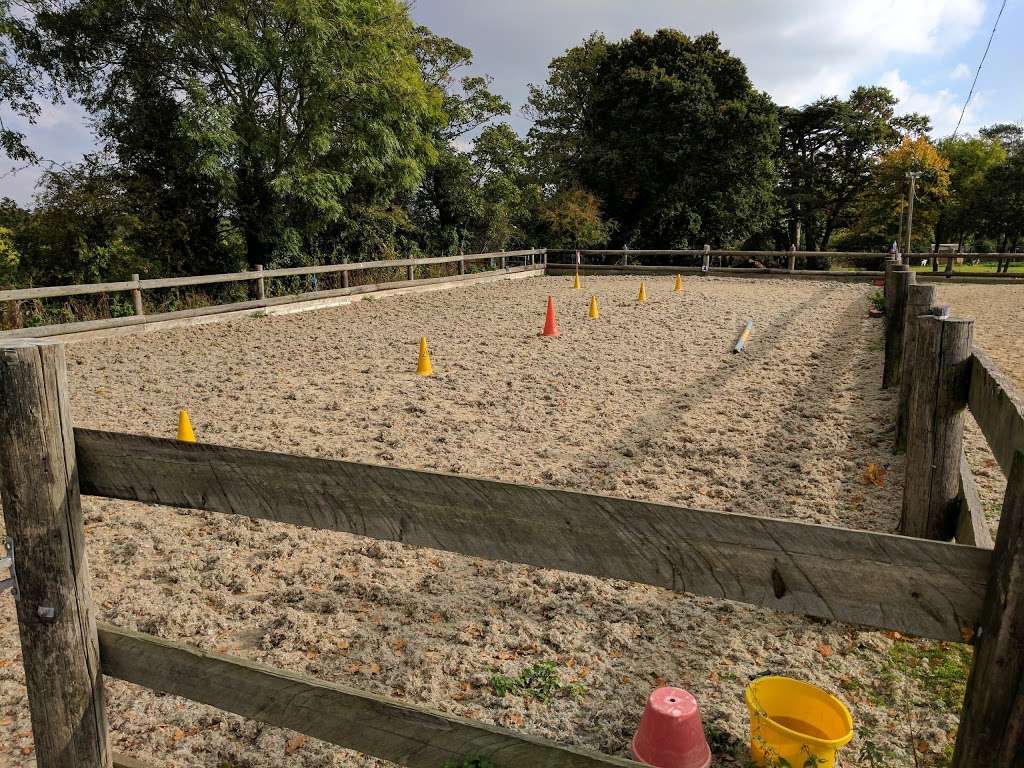 Gillians Riding School | Clay Hill, Enfield EN2 9JL, UK | Phone: 020 8366 5445