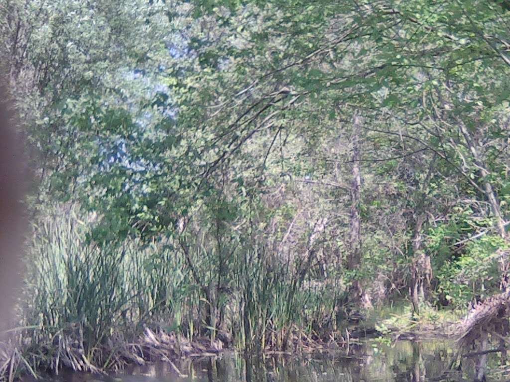 Forester creek/sd river/c.h.golfcourse/rocks | Mission Gorge Rd &, Big Rock Rd, Santee, CA 92071, USA