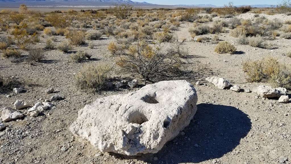 Desert National Wildlife Refuge | 16001 Corn Creek Rd, Las Vegas, NV 89124, USA | Phone: (702) 879-6110