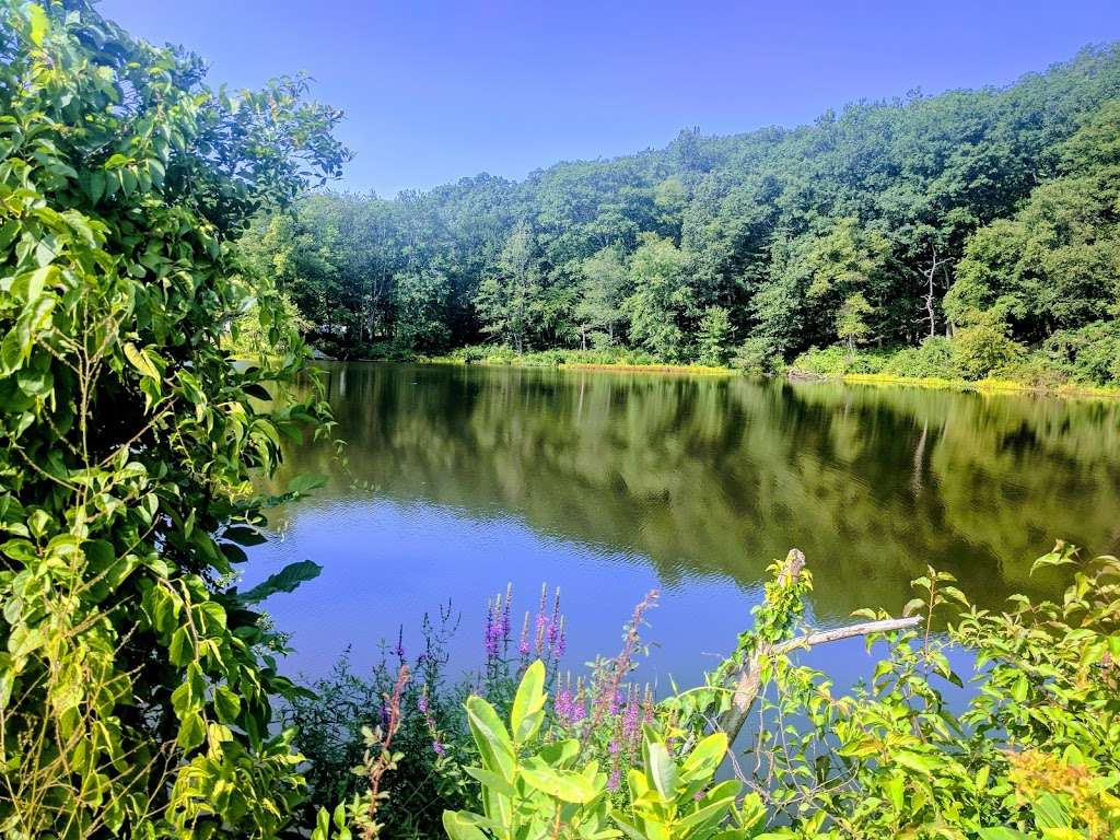 Sterling Forest State Park | 116 Old Forge Rd, Tuxedo Park, NY 10987, USA | Phone: (845) 351-5907