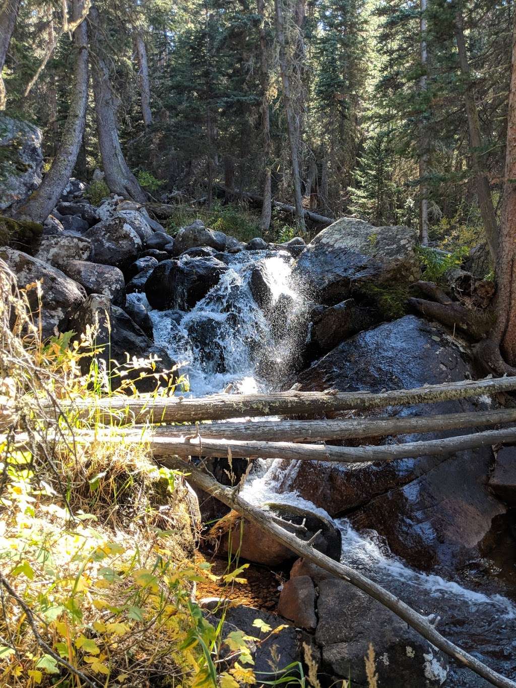 Wild Basin Ranger Station | Co Hwy 115, Allenspark, CO 80510, USA | Phone: (303) 876-5309