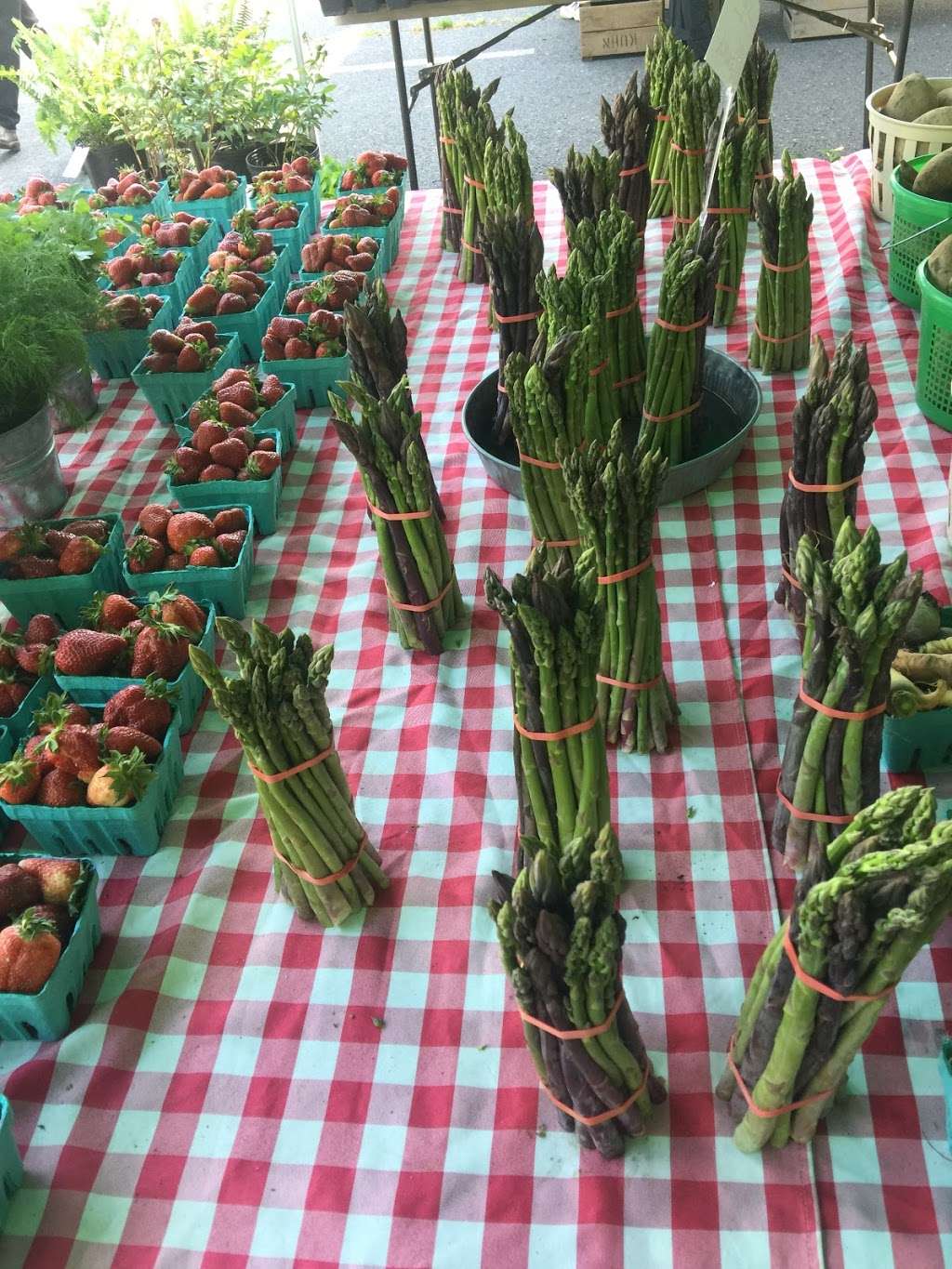 Burke Farmers Market | 5671 Roberts Pkwy, Burke, VA 22015, USA | Phone: (703) 642-0128