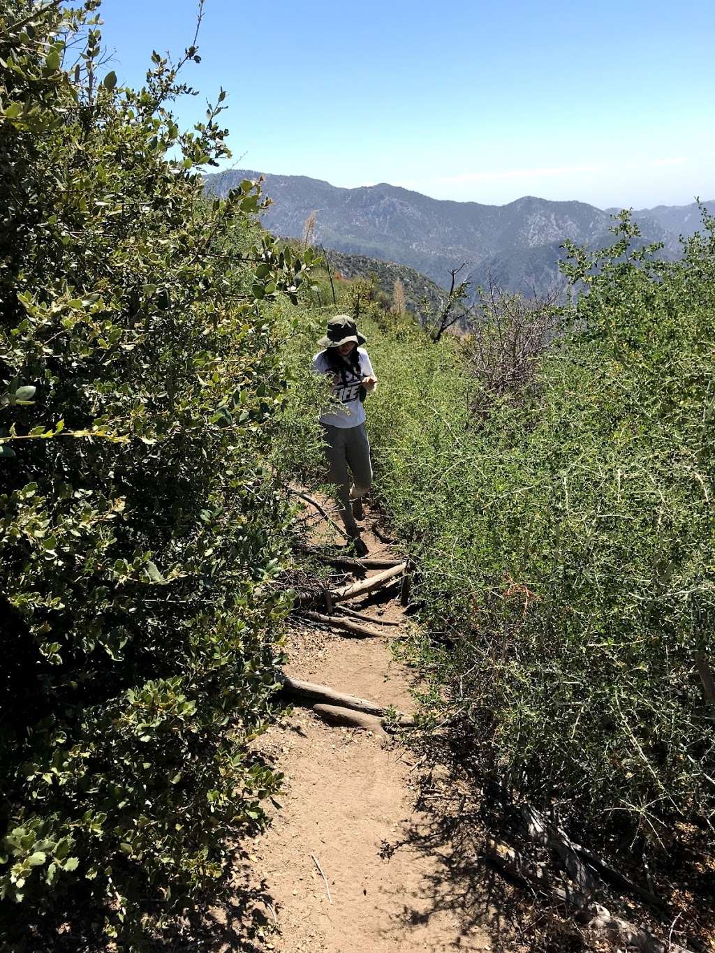 Strawberry peak west ridge | Colby Cyn Trail, Palmdale, CA 93550, USA