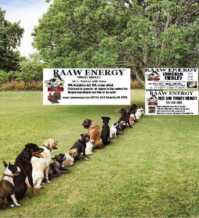 Raaw Energy Dog Food | 967 Adelphia-Farmingdale Road, Please give a nice review if you like our food Kitt, Adelphia, NJ 07710, USA | Phone: (732) 414-1446