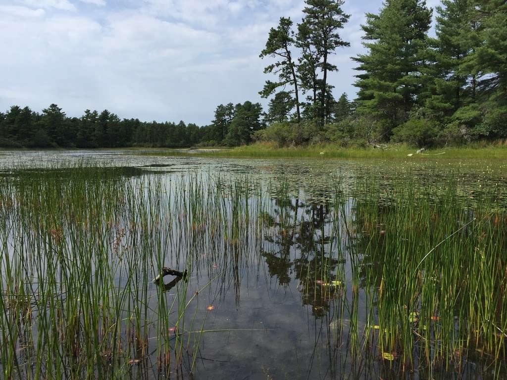 Myles Standish State Forest | 194 Cranberry Rd, Carver, MA 02330, USA | Phone: (508) 866-2526