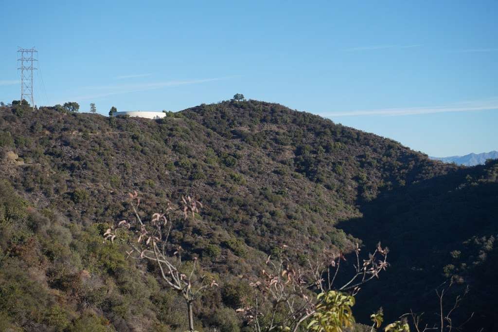 Prajna Tree | Los Angeles, CA 90049, USA