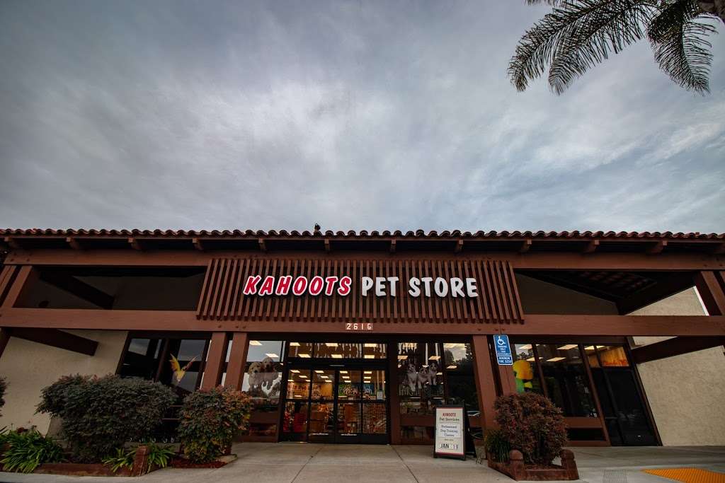 Kahoots Pet Store | 2616 El Camino Real, Carlsbad, CA 92008, USA | Phone: (760) 434-2223