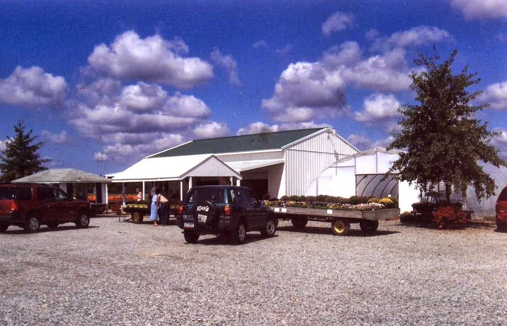 Little Wagon Produce | 2667 Seashore Hwy, Greenwood, DE 19950, USA | Phone: (302) 349-5100