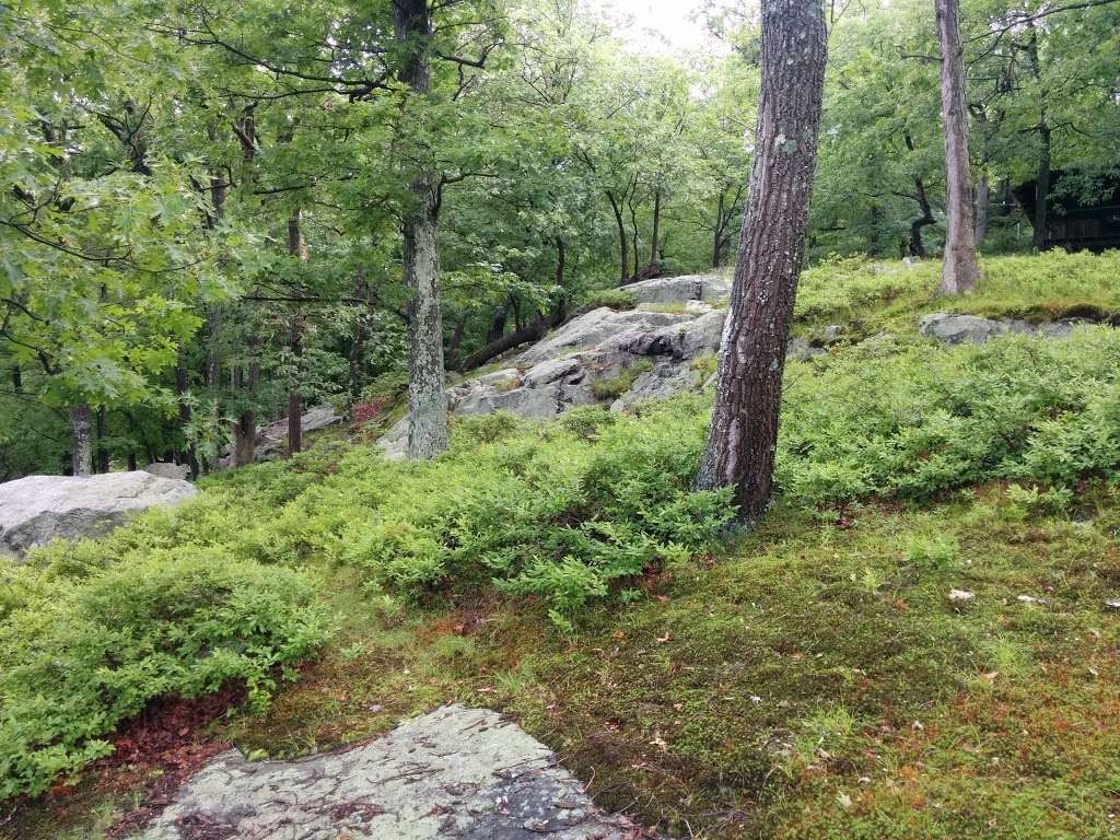 Dater Mountain Nature County Park | 54 Seven Lakes Dr, Sloatsburg, NY 10974, USA | Phone: (845) 364-2670