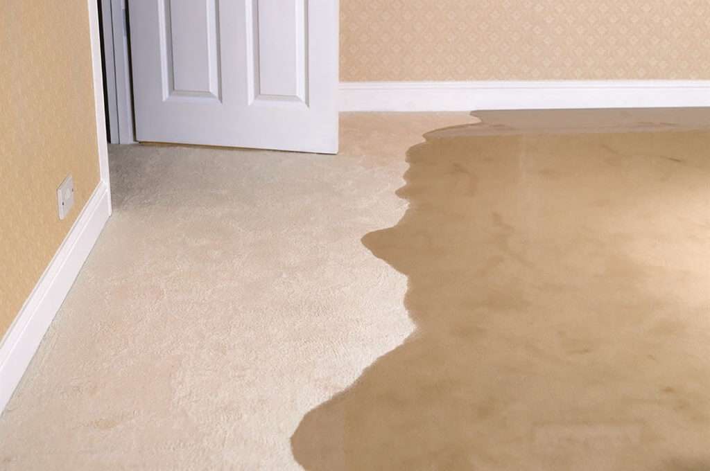 Carpet Cleaning Services In Hollywood | Los Angeles, CA, USA | Phone: (413) 223-6657