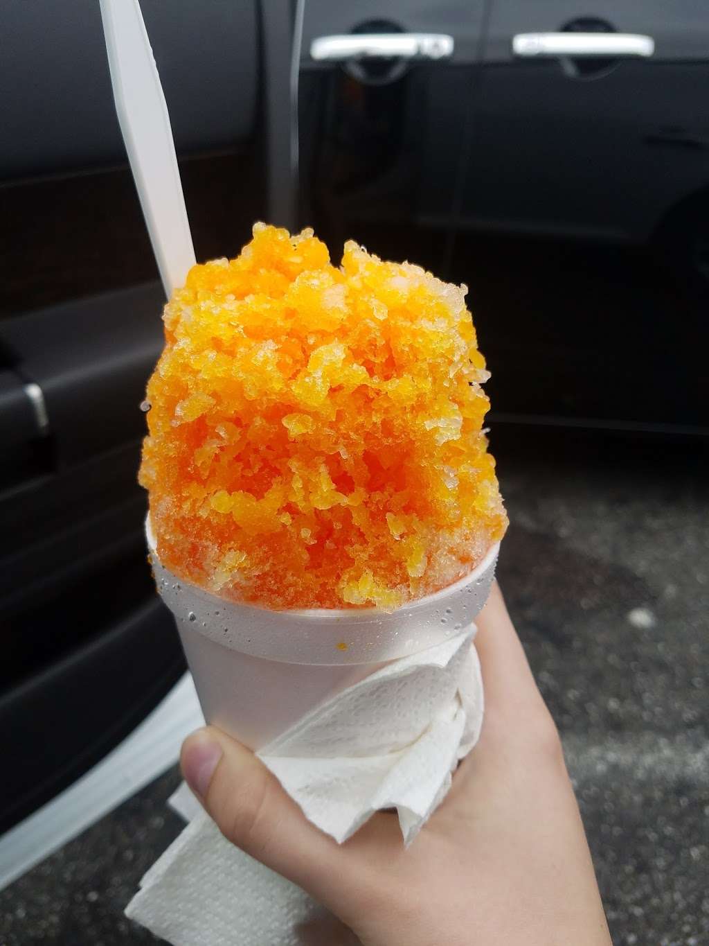 The Snowball Stand | 11065 Cathell Rd #9307, Berlin, MD 21811, USA | Phone: (443) 944-1250