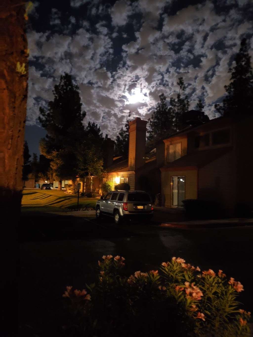 The Pines | -14028, 14002 N 49th Ave, Glendale, AZ 85306, USA | Phone: (623) 691-0567