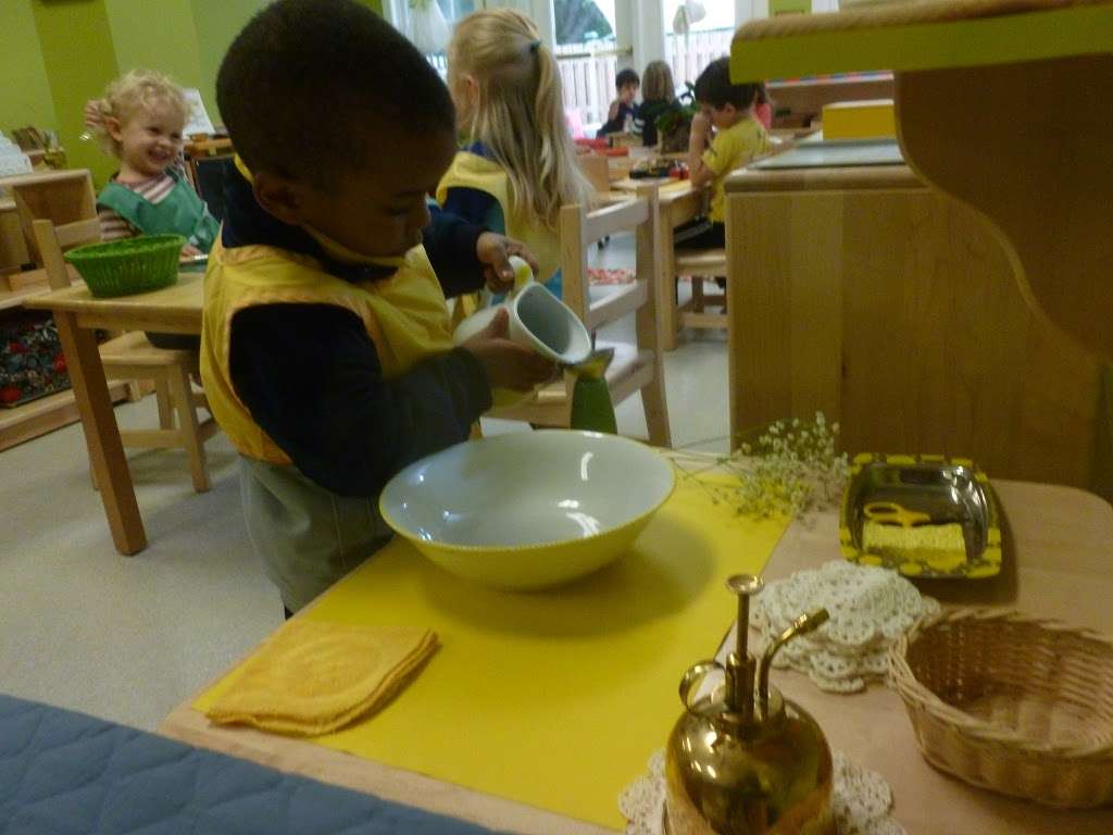 Fiore Montessori School | 1629 Beulah Rd, Vienna, VA 22182, USA | Phone: (703) 319-2069