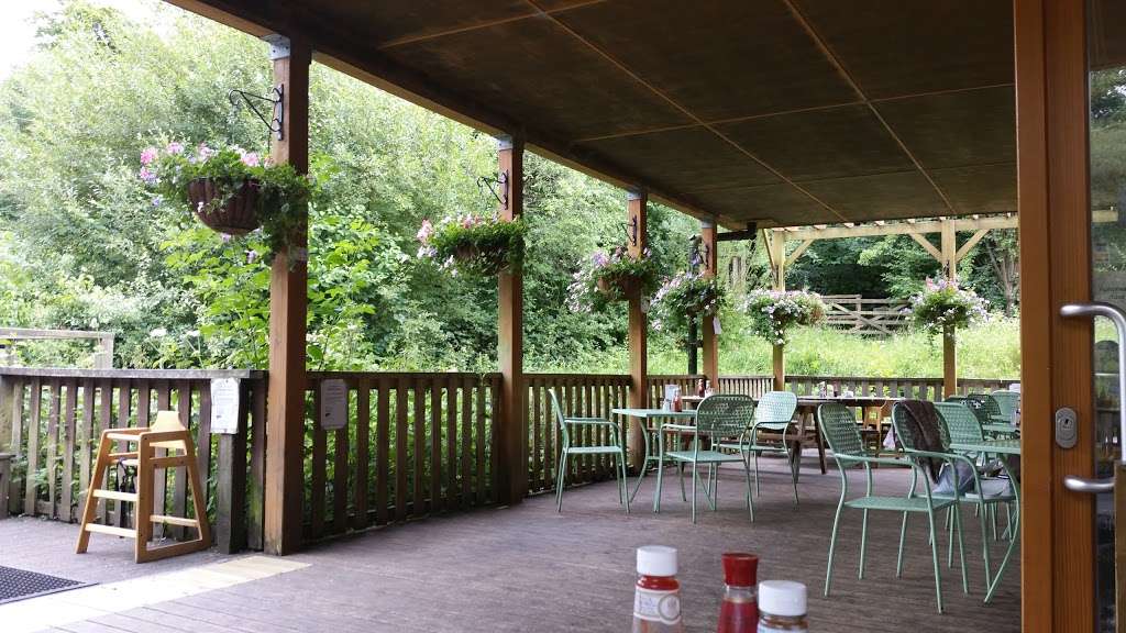 Green Roof Cafe | High Elms Country Park, Shire Ln, Orpington BR6 7JH, UK | Phone: 01689 855439
