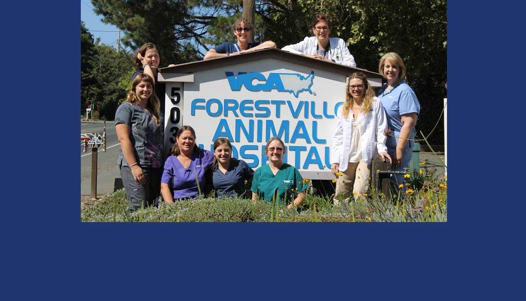 VCA Forestville Animal Hospital | 5033 Gravenstein Hwy N, Sebastopol, CA 95472, USA | Phone: (707) 887-2261