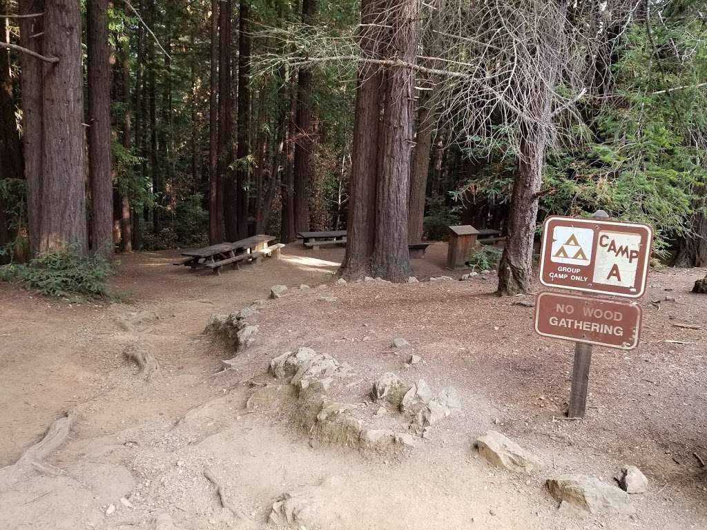 Alice Eastwood Group Campsite | 753 Panoramic Hwy, Mill Valley, CA 94941, USA | Phone: (415) 388-2070