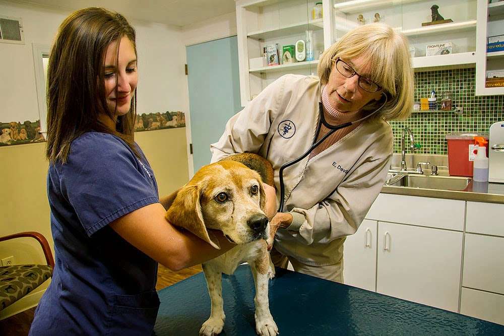 Cumberland Animal Hospital | 6 Pound Rd, Cumberland, RI 02864, USA | Phone: (401) 658-1148