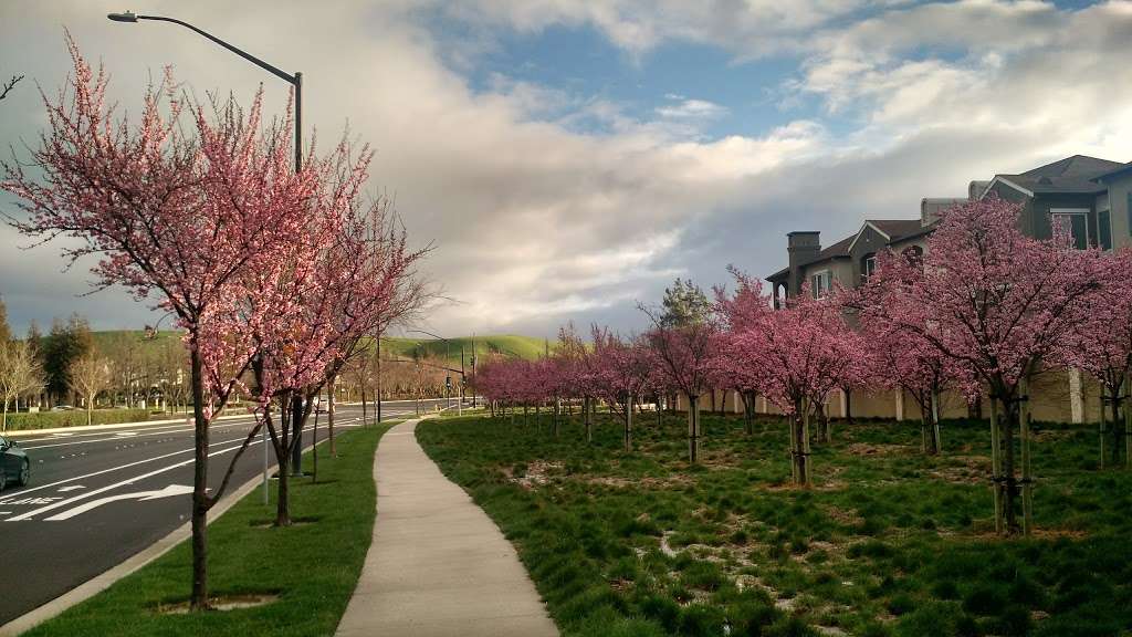 Bellingham Square | 1281 Bellingham Square, San Ramon, CA 94582, USA | Phone: (925) 973-3200