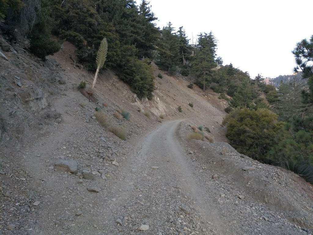 Baldy Bowl Trail start | Baldy Bowl Trail, Mt Baldy, CA 91759, USA