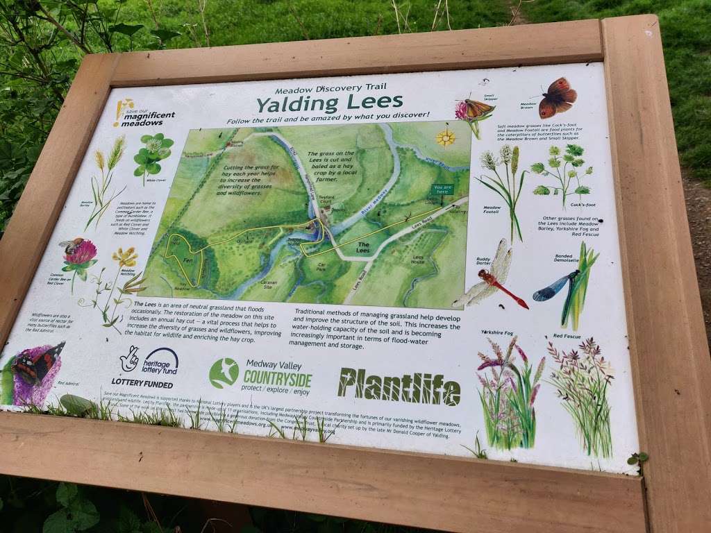 Yalding Lees | Yalding, Maidstone ME18 6HE, UK