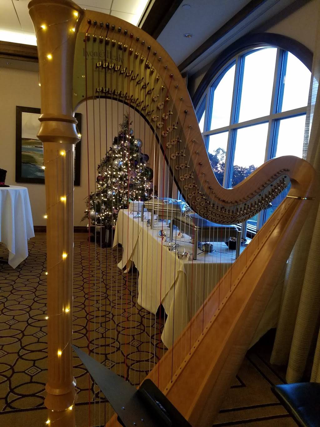 Harpist/Harp Teacher in OC/LA Tomoko Sato | 3131 Michelson Dr, Irvine, CA 92612, USA | Phone: (949) 285-1752