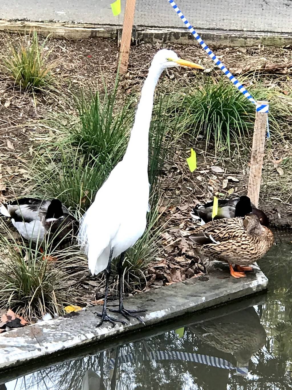 UC Davis Arboretum Teaching Nursery | 920 Garrod Dr, Davis, CA 95616, USA | Phone: (530) 752-4880