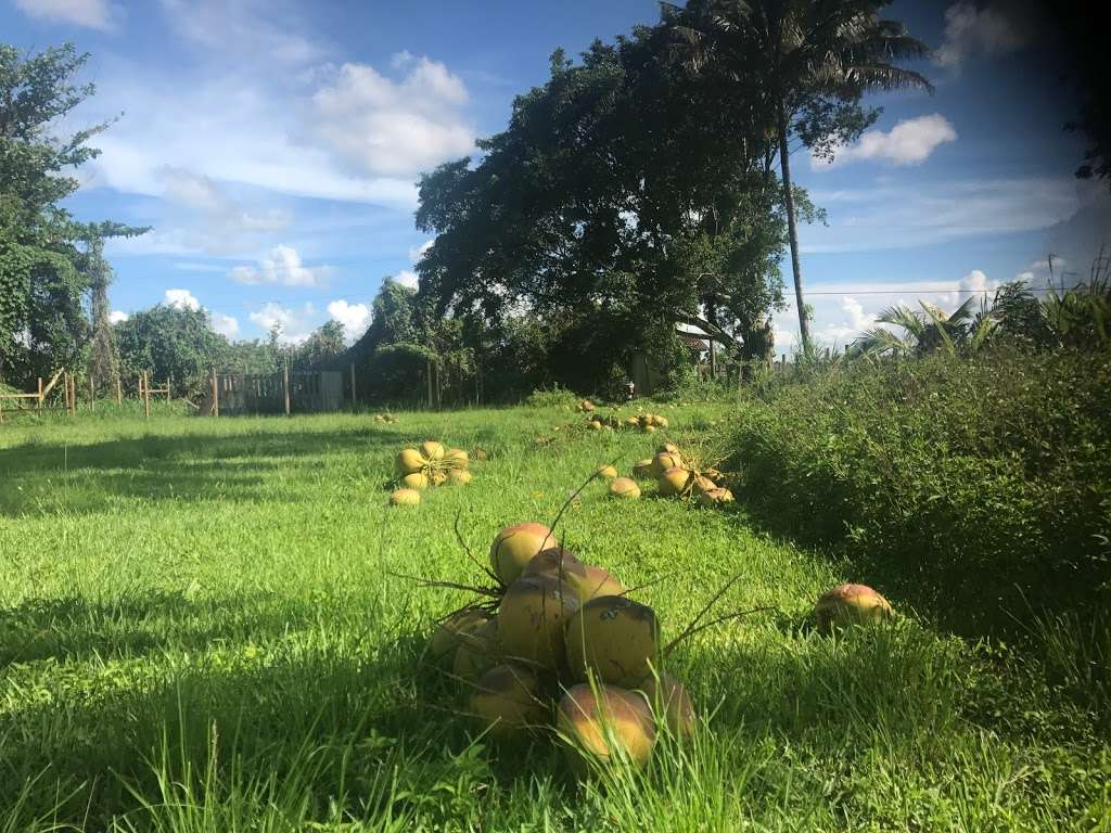 St Paul Travelers Co | 6112 SW 14th St, West Miami, FL 33144, USA