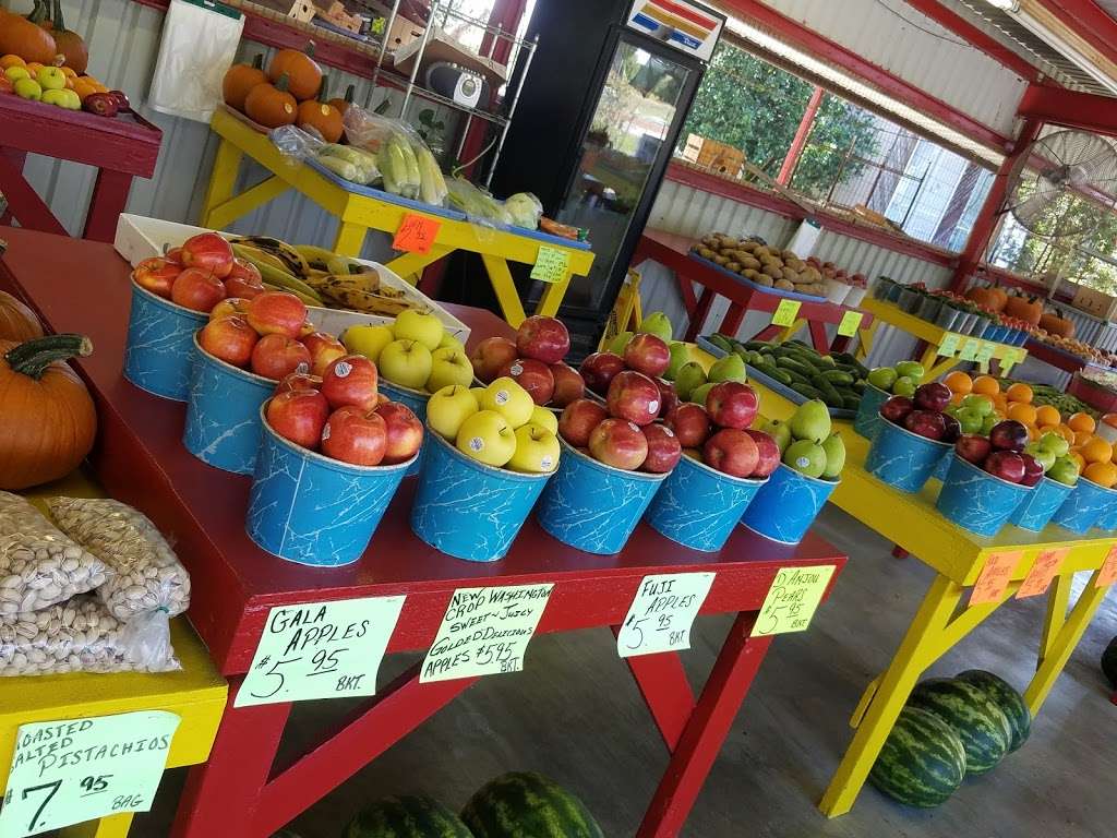 Batys Fruitstand & PalmTree Nursery | 4821 FM 521 Rd, Arcola, TX 77583 | Phone: (281) 431-9150