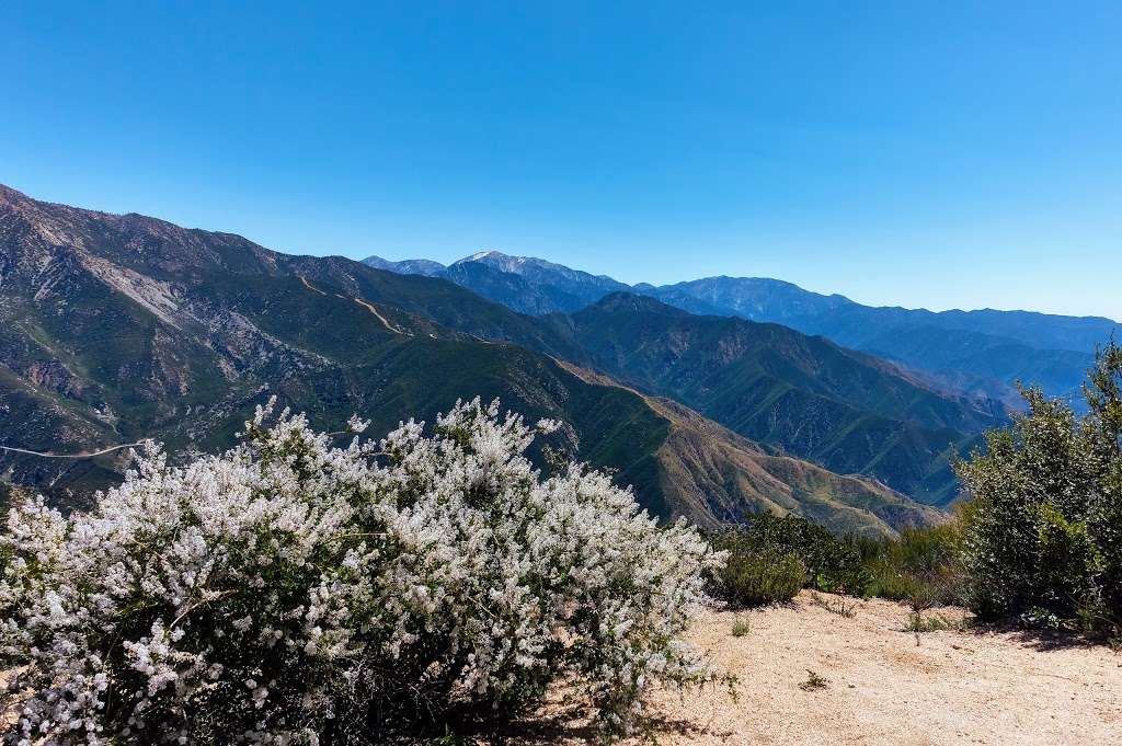 Smith Mountain Trailhead | Azusa, CA 91702, USA