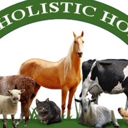 The Holistic Horse | 372 E Yale Loop, Irvine, CA 92614, USA | Phone: (877) 774-0594